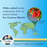 Taiga Gold with Schizandra Chinensis