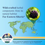 Taiga Gold with Eleutherococcus