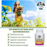 Taiga Gold with Eleutherococcus