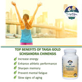 Taiga Gold with Schizandra Chinensis