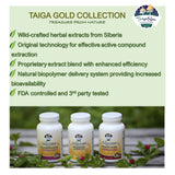 Taiga Gold with Schizandra Chinensis